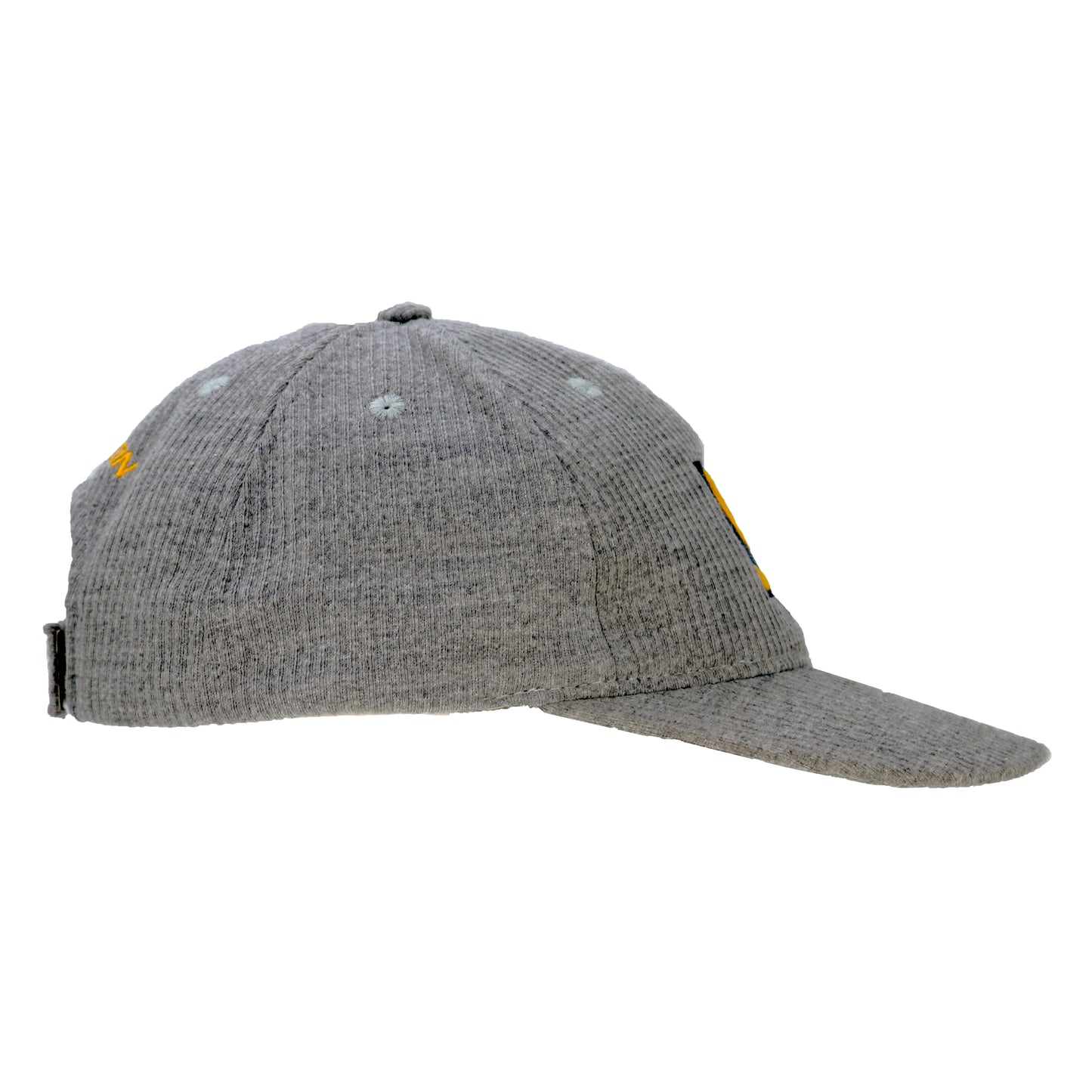 Salomon Corduroy 6-Panel Cap Sample
