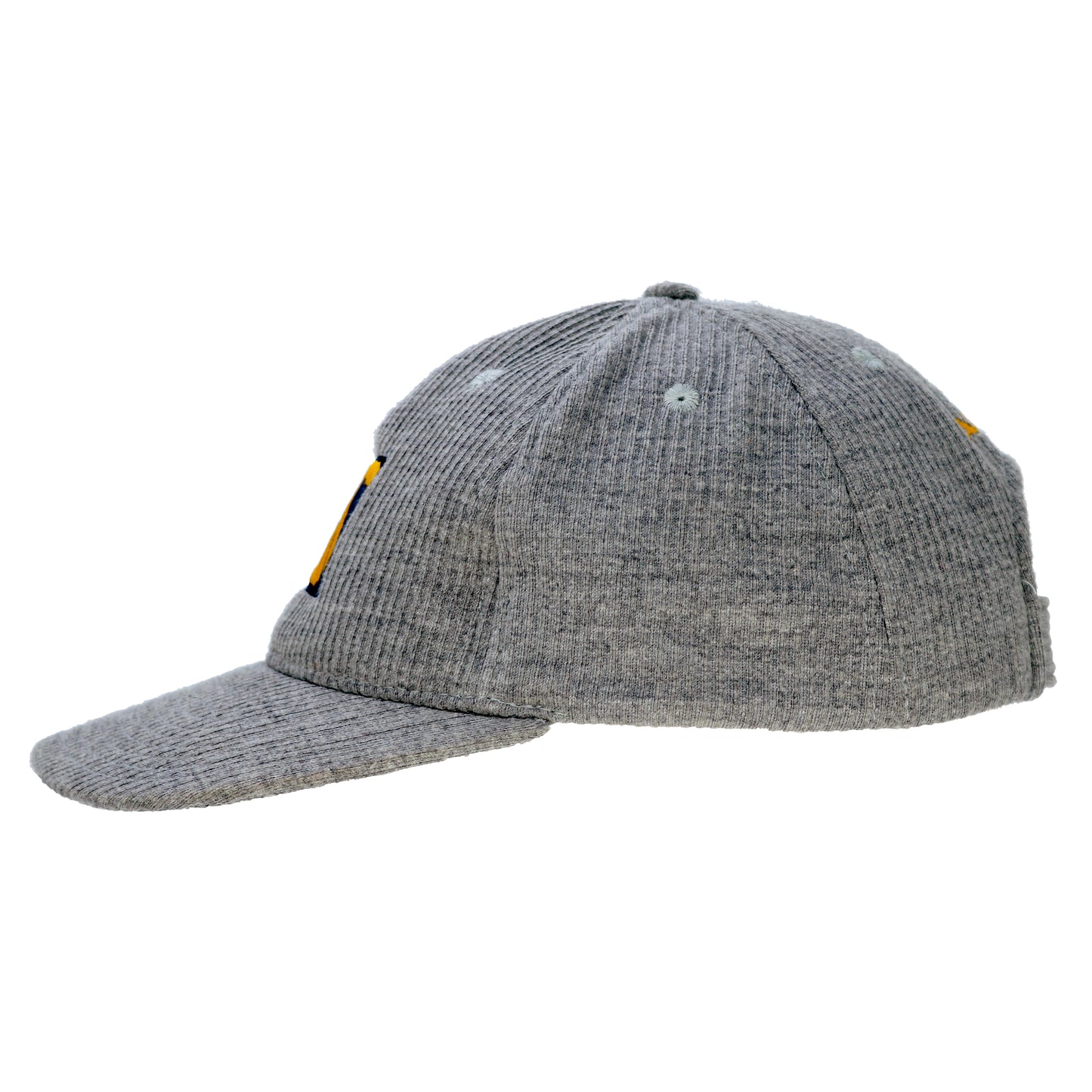 Salomon Corduroy 6-Panel Cap Sample