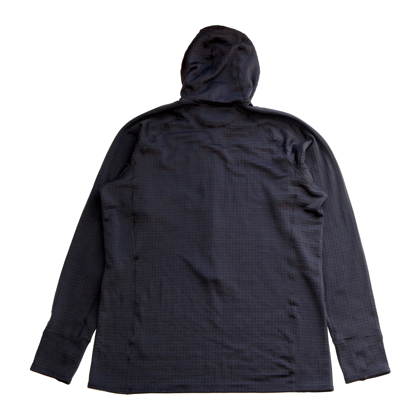 Patagonia R1 Regulator Hooded Fleece Pullover